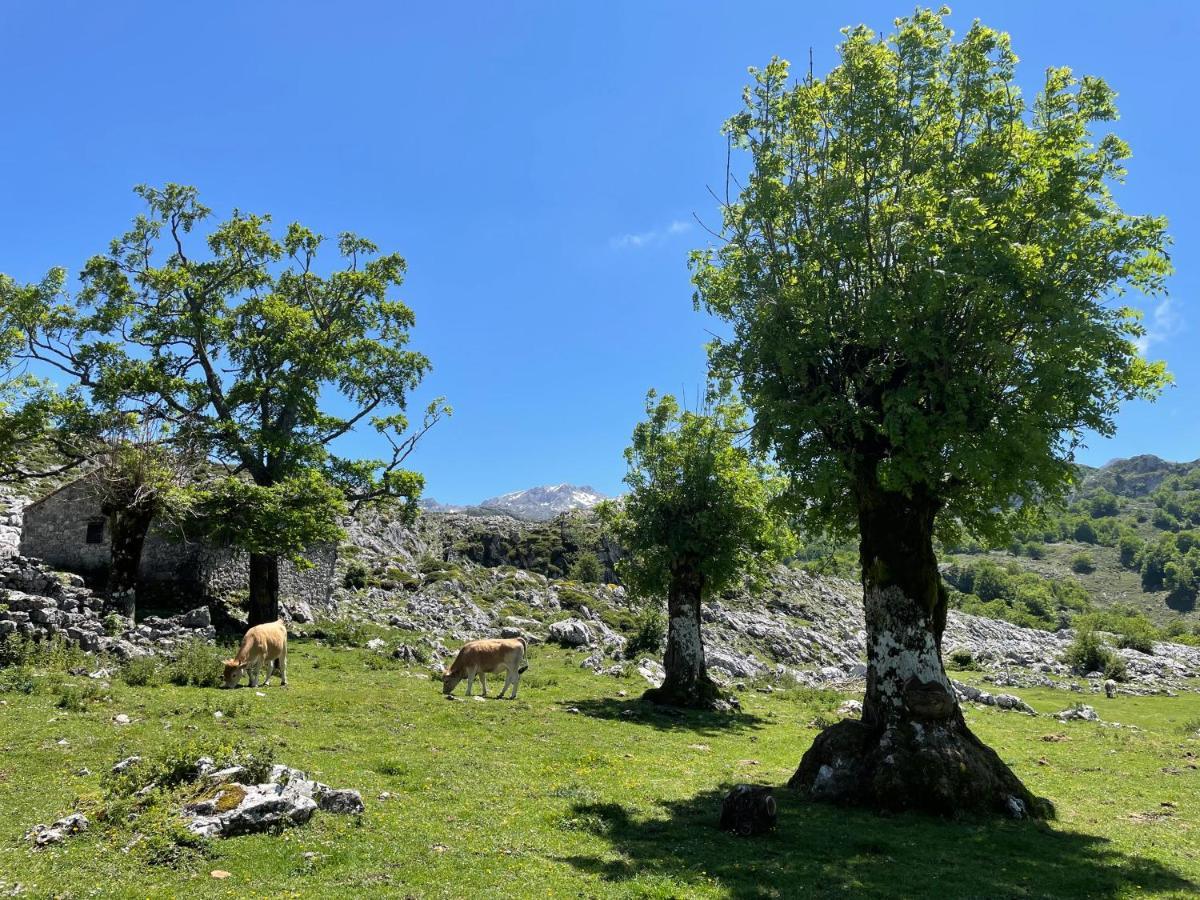 Mar Y Montana Villa Piloña Kültér fotó